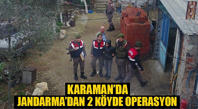 Jandarma'dan 2 köyde operasyon