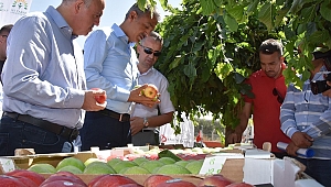 Türkiye'nin en büyük elma bahçesinde ilk hasat yapıldı