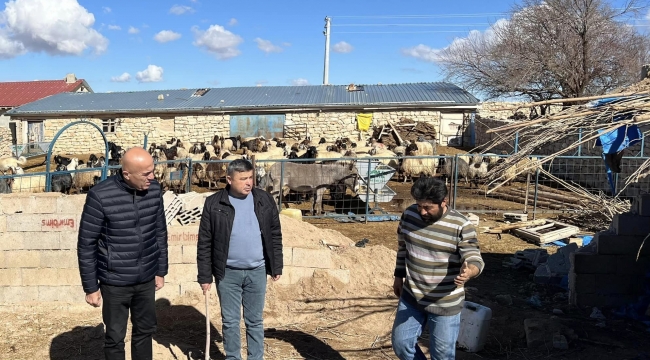 Karaman’da çatısı çöken ahırdaki 20 koyun telef oldu